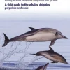 Wildguide: Europes’ Sea Mammals | Bog