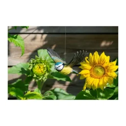 Wildlife Garden Decobird Flyvende blåmejse dekorationsfugl