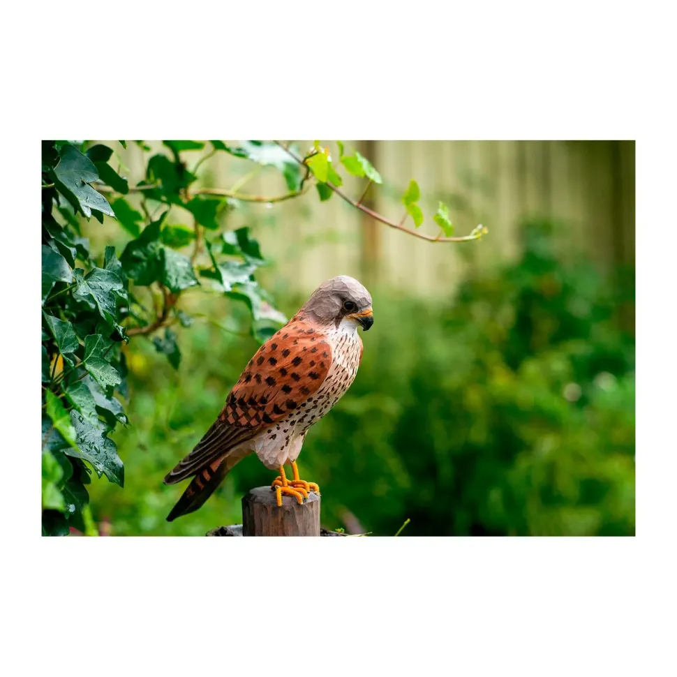 Wildlife Garden Decobird Tårnfalk dekorationsfugl