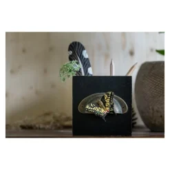 Wildlife Garden DecoButterfly sommerfugl magnet